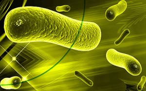 Urzeitbakterie macht Methanisierung wirtschaftlich