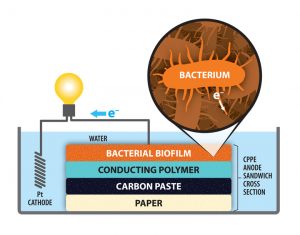 Mikrobielle Brennstoffzellen haben Potential