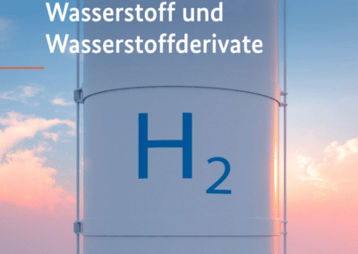 H2-Importstrategie – eher Kompendium als Fahrplan